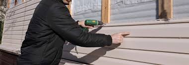 Best Custom Trim and Detailing for Siding  in Alice, TX